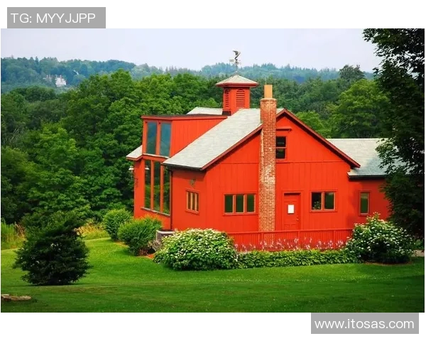 新英格兰与温哥华激战正酣比分悬念引人关注